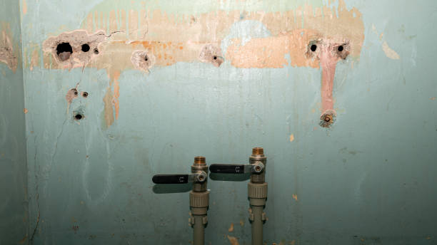 Best Local water damage restoration  in Pinehurst, ID